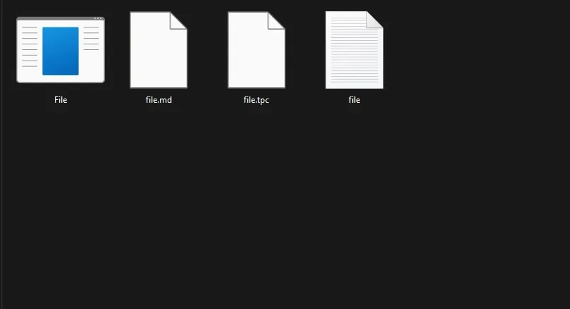 A folder with four files named file