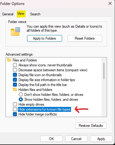 The Folder Options dialog on the View tab